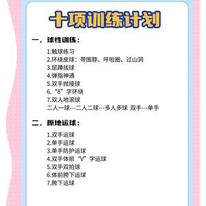  制定个性化的训练日程以巩固篮球基础：全面指南与策略